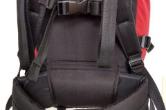 Detalhes-costas-e-barrigueira-removível
